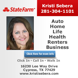 Kristi Sebera - State Farm Insurance Website Image